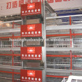 Design layer chicken cage of battery cage